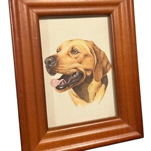 Roger Cruwys 1983 Labrador Retriever Dog Portrait Print 3.5x5 Framed Wood